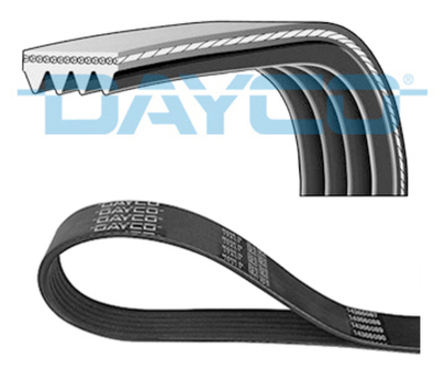 MULTIRIEM DAYCO 4PK1366HD